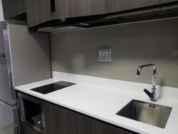 North Park Residences (D27), Apartment #548417721